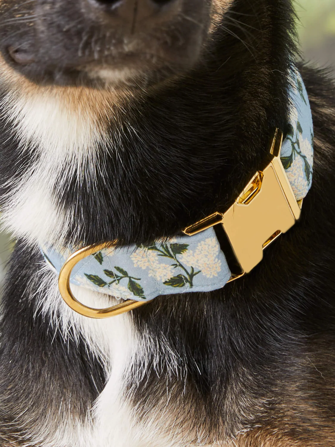 Rifle Paper Co. X TFD Hydrangea Dog Collar (Made in the USA) - Image 2