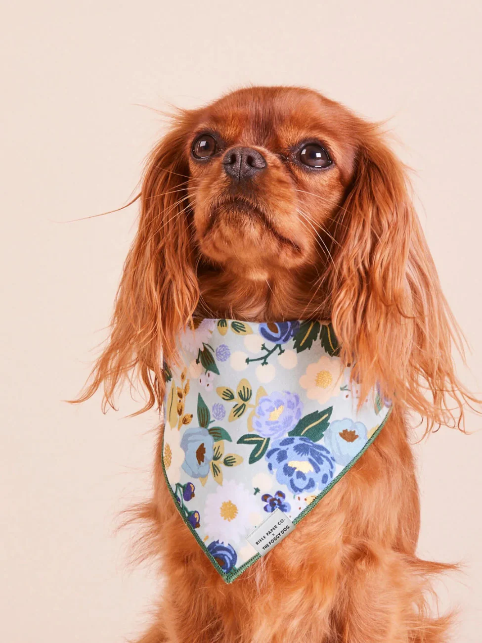 Rifle Paper Co. X TFD Vintage Blossom Dog Bandana (Made in the USA) - Image 4