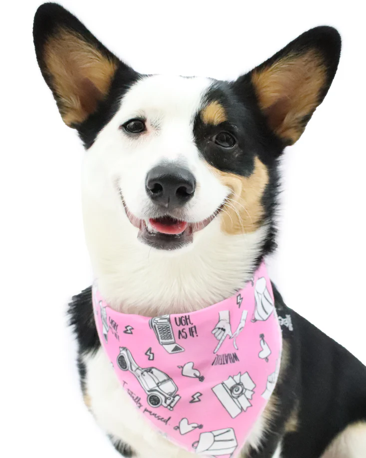 Chewless™ AS IF Dog Bandana (FINAL SALE) - Image 3