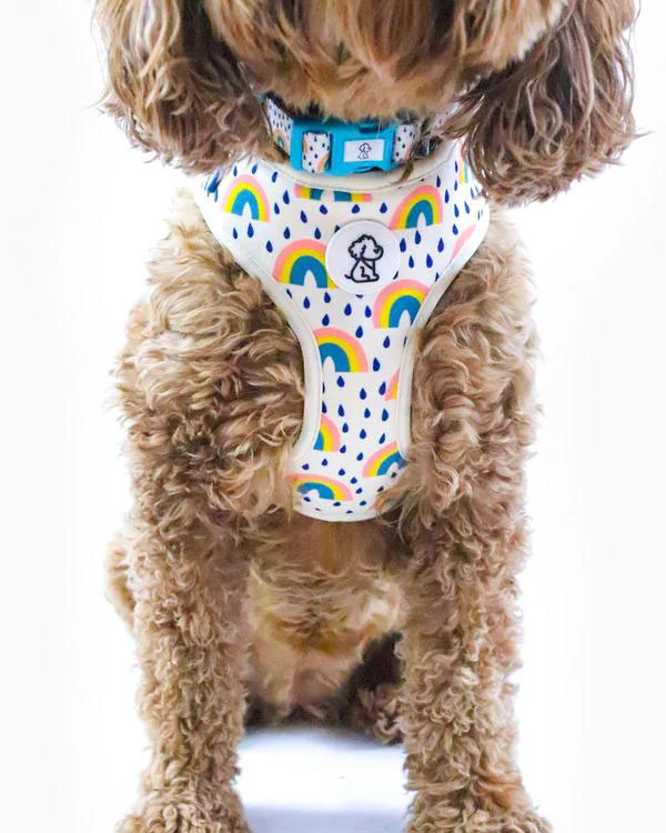 Rainbow Bright Padded Adjustable Dog Harness - Image 2