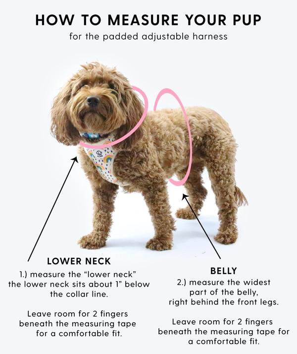 Rainbow Bright Padded Adjustable Dog Harness - Image 4