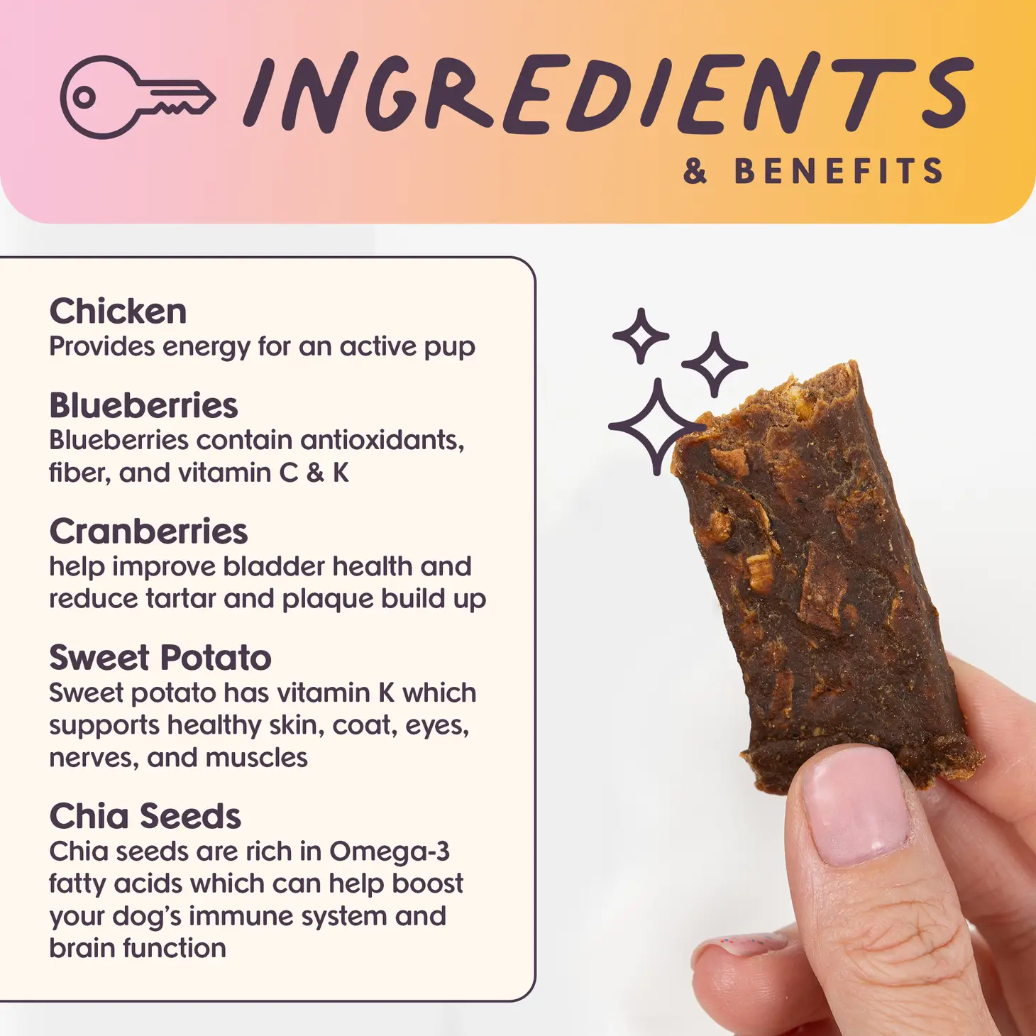 Rise & Shine Chicken Superfood Jerky Dog Treats (Made in the USA) - Image 3