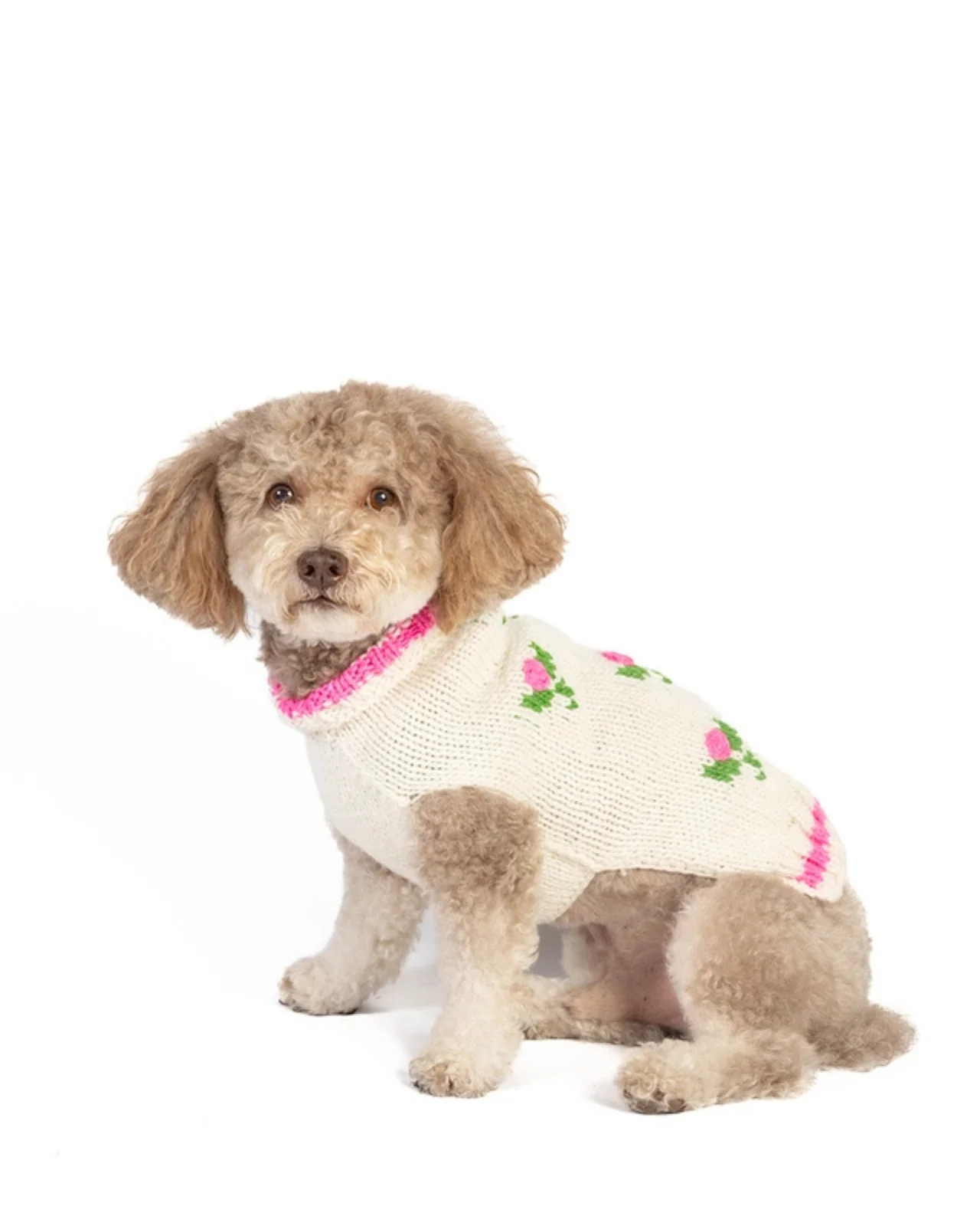 Rose Bud Wool Knit Dog Sweater (FINAL SALE) - Image 3