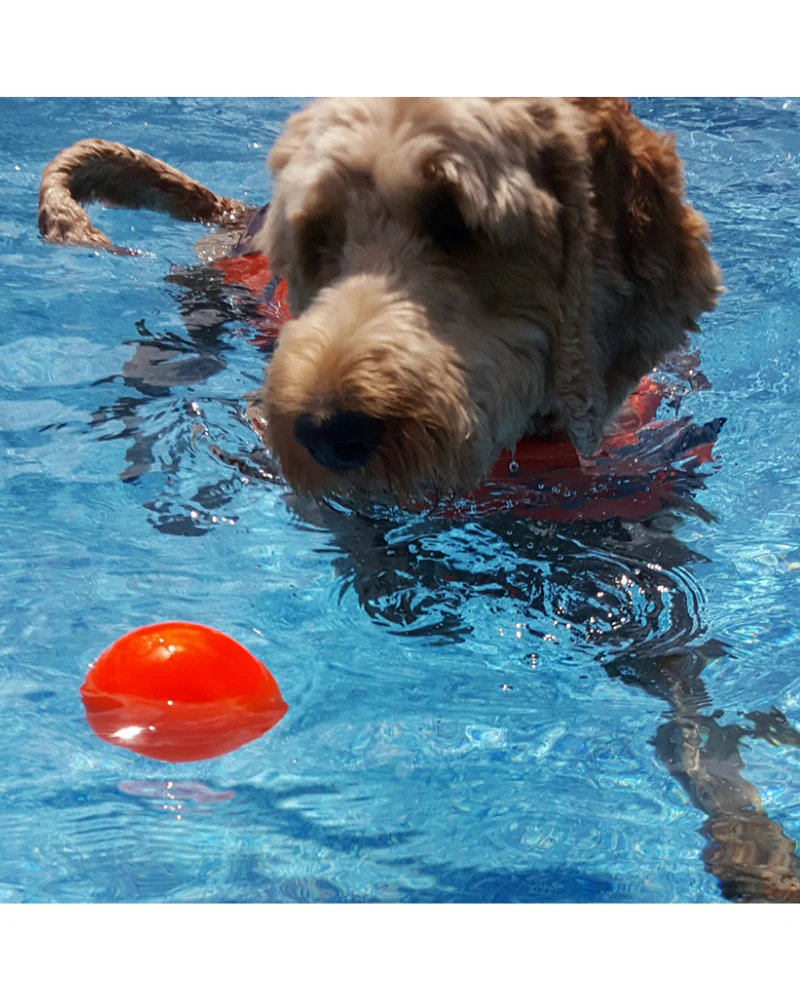 Rubber Ball Dog Toy (Made in the USA) - Image 2