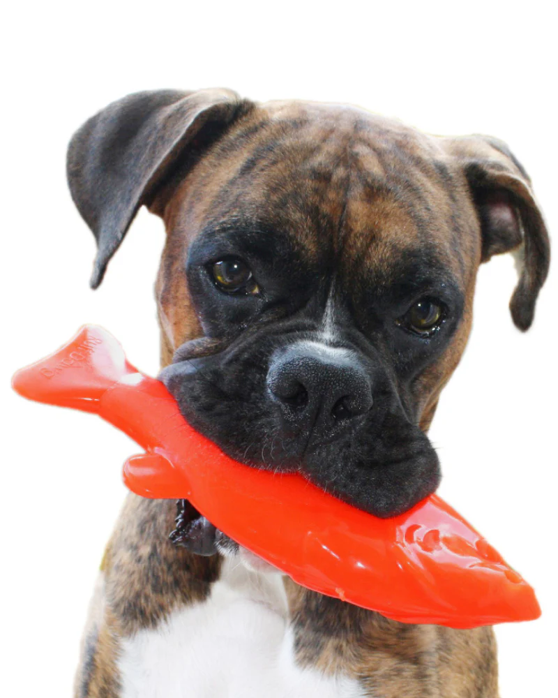 Rubber Fish Floating Dog Toy (Made in the USA) - Image 3