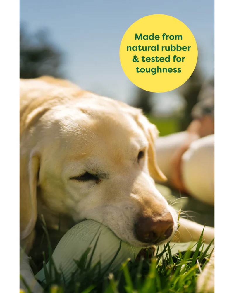 Rubber Treat Dispenser Dog Toy - Image 8