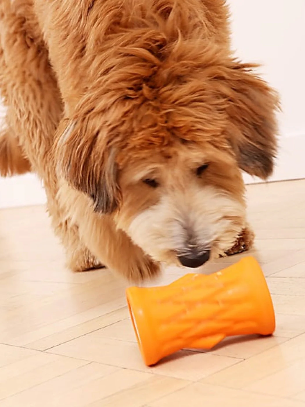 Rubber Tree Trunk Dog Treat Toy - Image 5