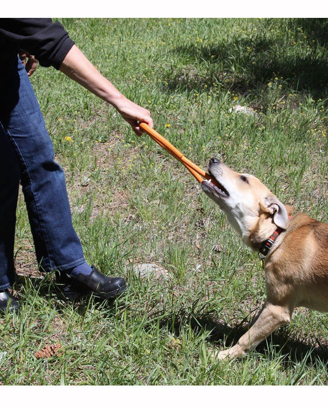 Rubber Tug Dog Toy - Image 3