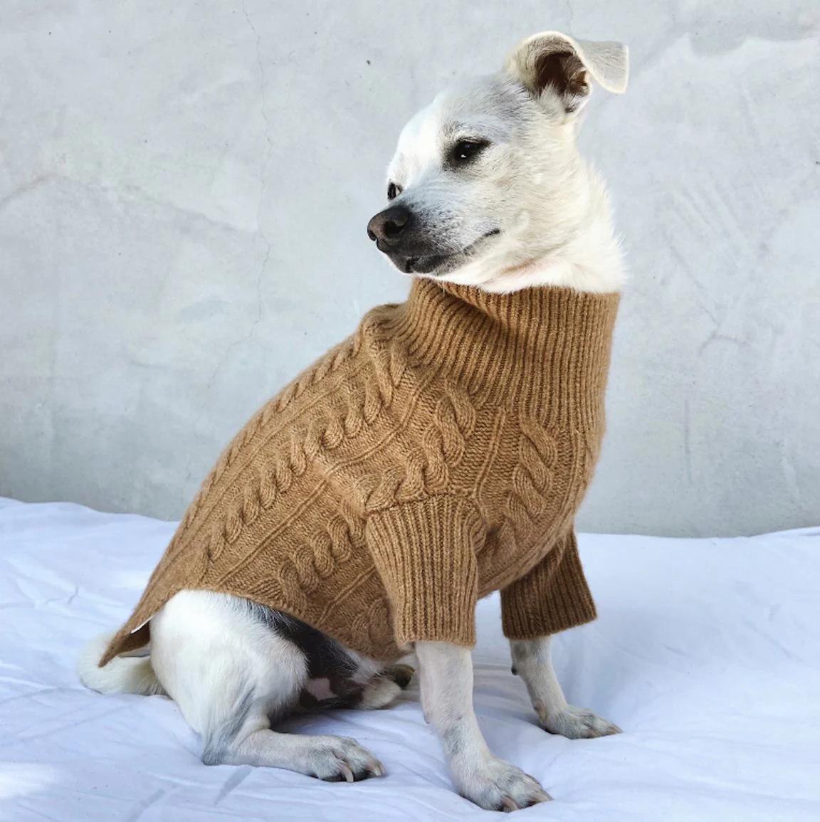 Cashmere Cableknit Sweater in Sand >>>FINAL SALE<<< - Image 7