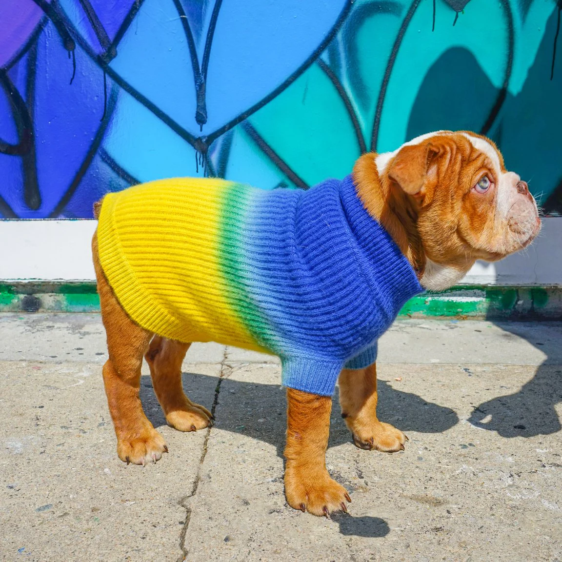 Tie-Dye Cashmere Blend Sweater in Blueberry & Pineapple << FINAL SALE >> - Image 4