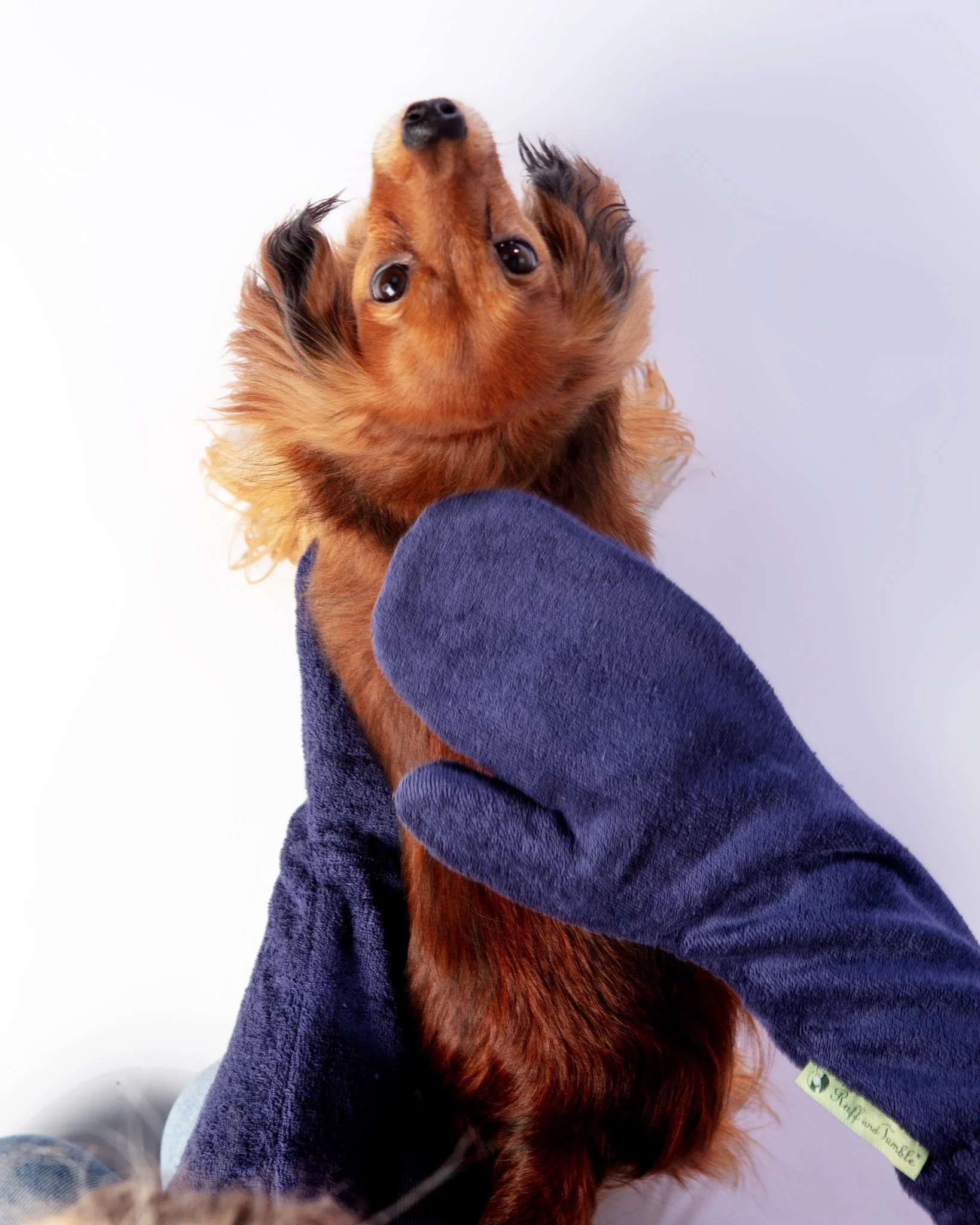 Dog Drying Mitts (Made in the UK) - Image 3