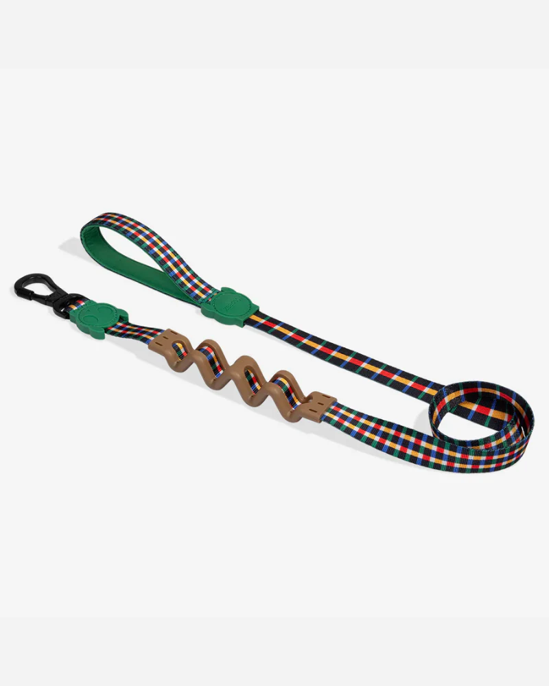 Ruff Leash for Dogs in Travis