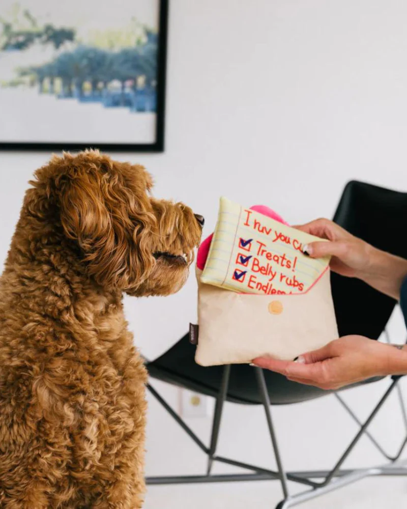 Ruv Letter Squeaky Dog Toy - Image 2