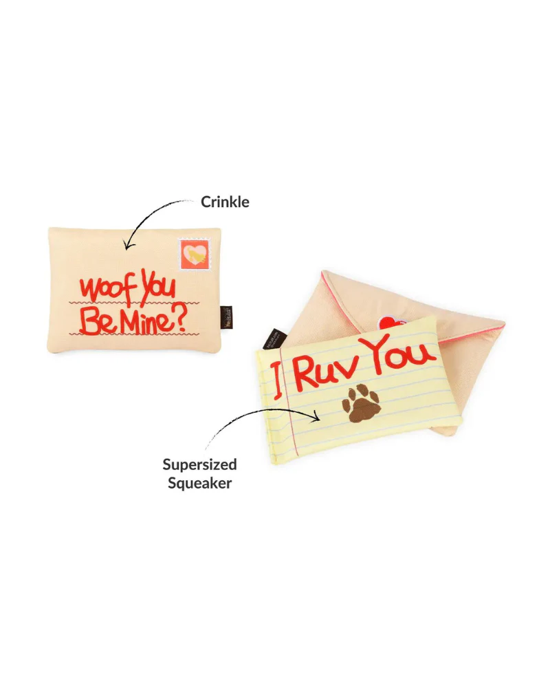 Ruv Letter Squeaky Dog Toy - Image 4