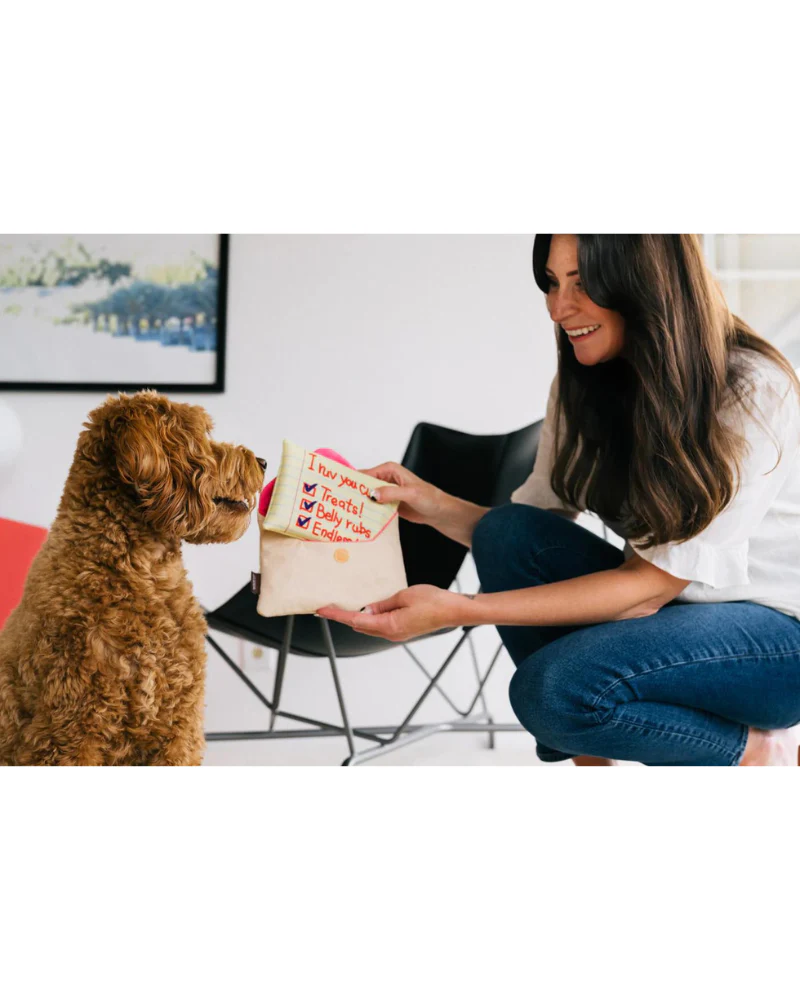 Ruv Letter Squeaky Dog Toy - Image 6