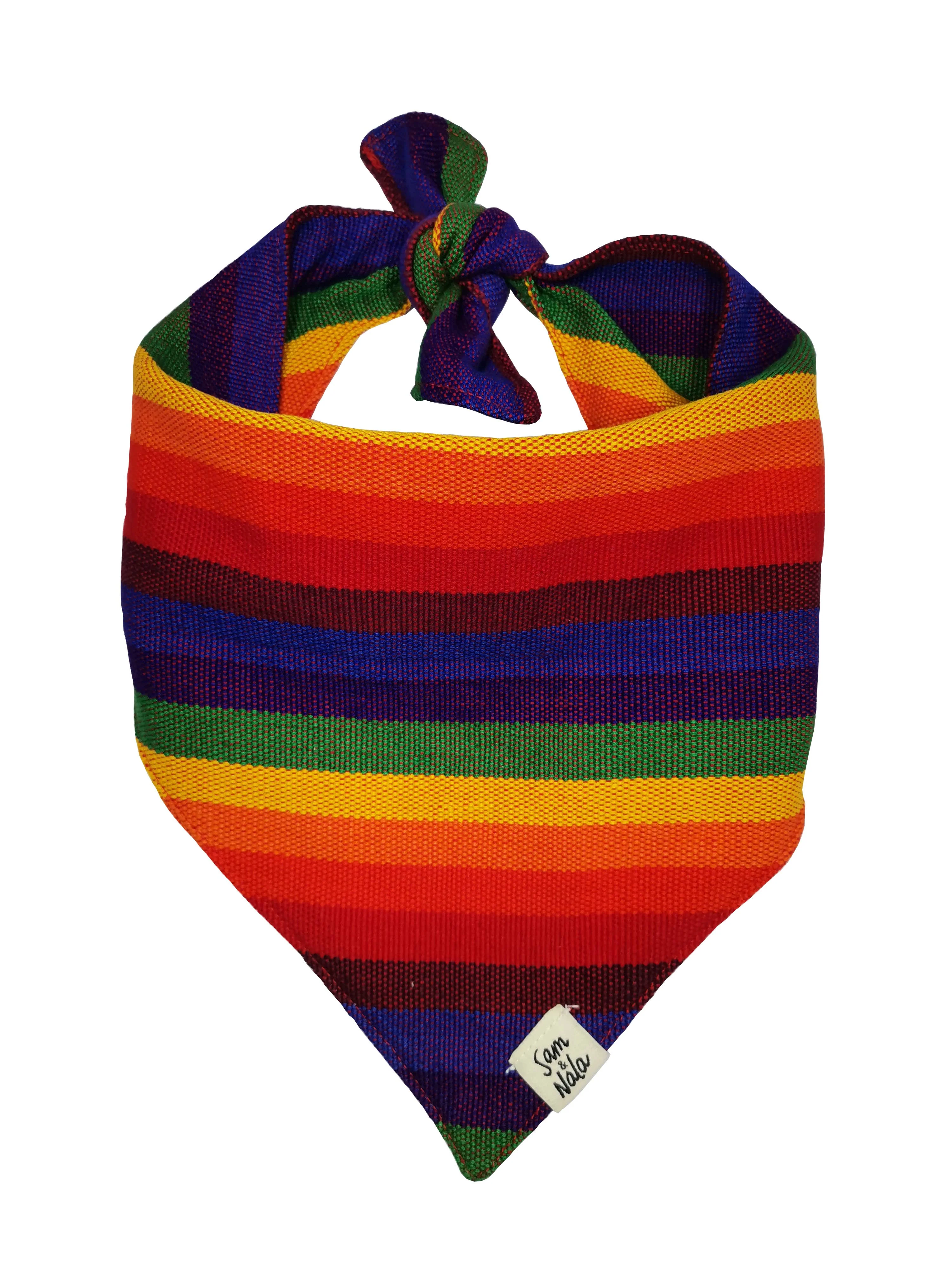 A Case Of Stripes Dog Bandana in Rainbow (FINAL SALE) - Image 4
