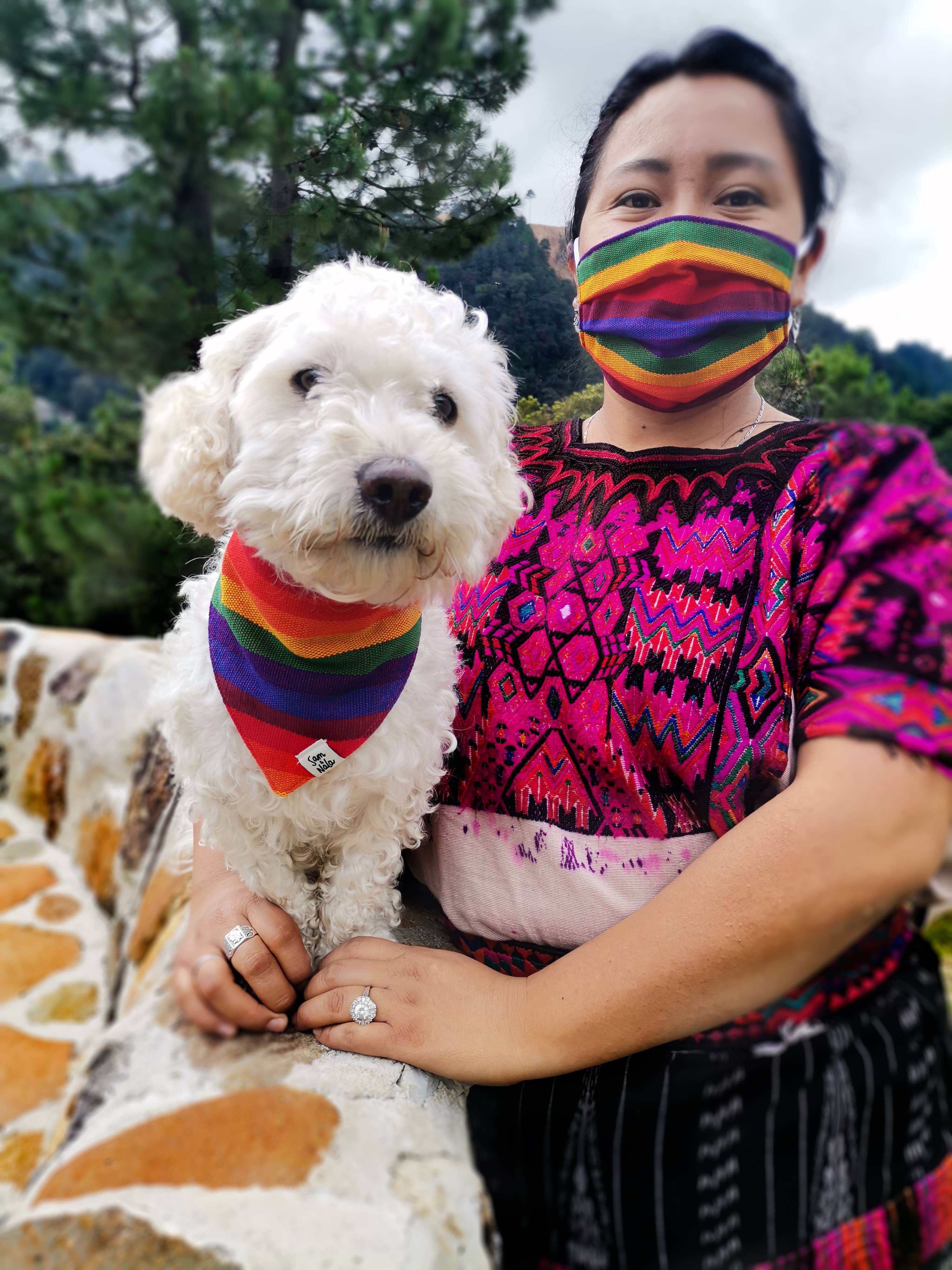 A Case Of Stripes Dog Bandana in Rainbow (FINAL SALE) - Image 6