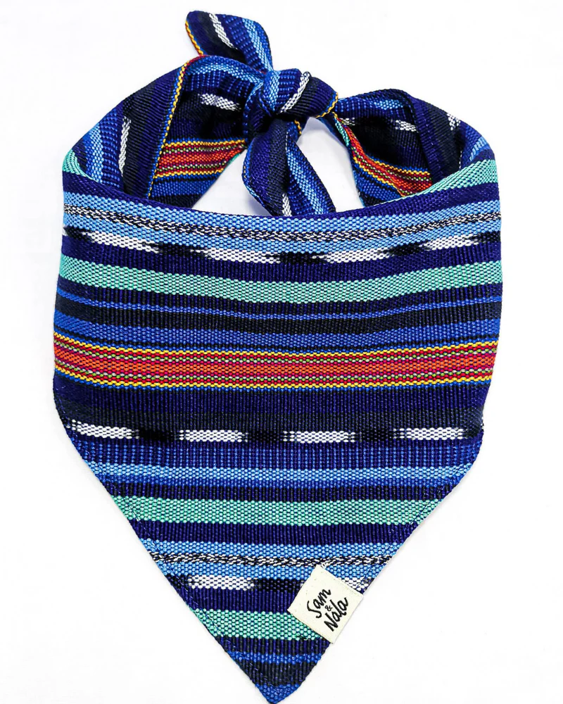 Midnight Train Dog Bandana (FINAL SALE) - Image 3