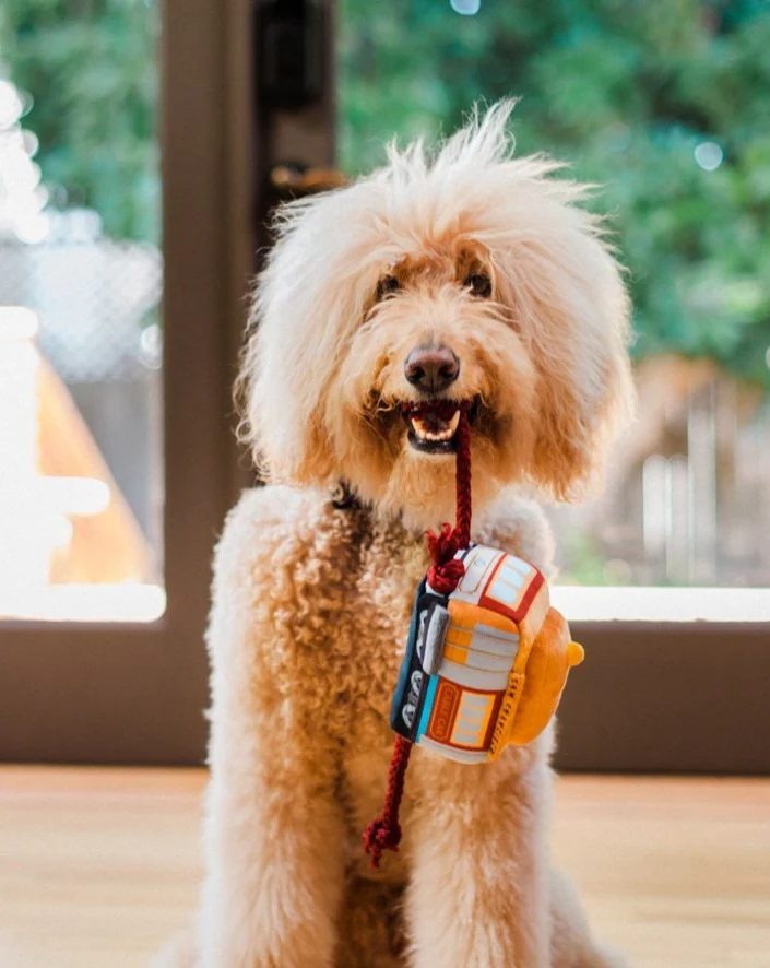 San Francisco Cable Car Plush Dog Toy - Image 2