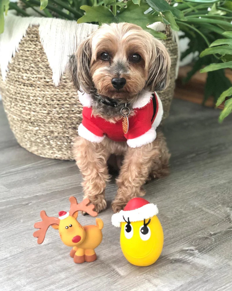 Santa Egg Latex Dog Toy (FINAL SALE) - Image 6