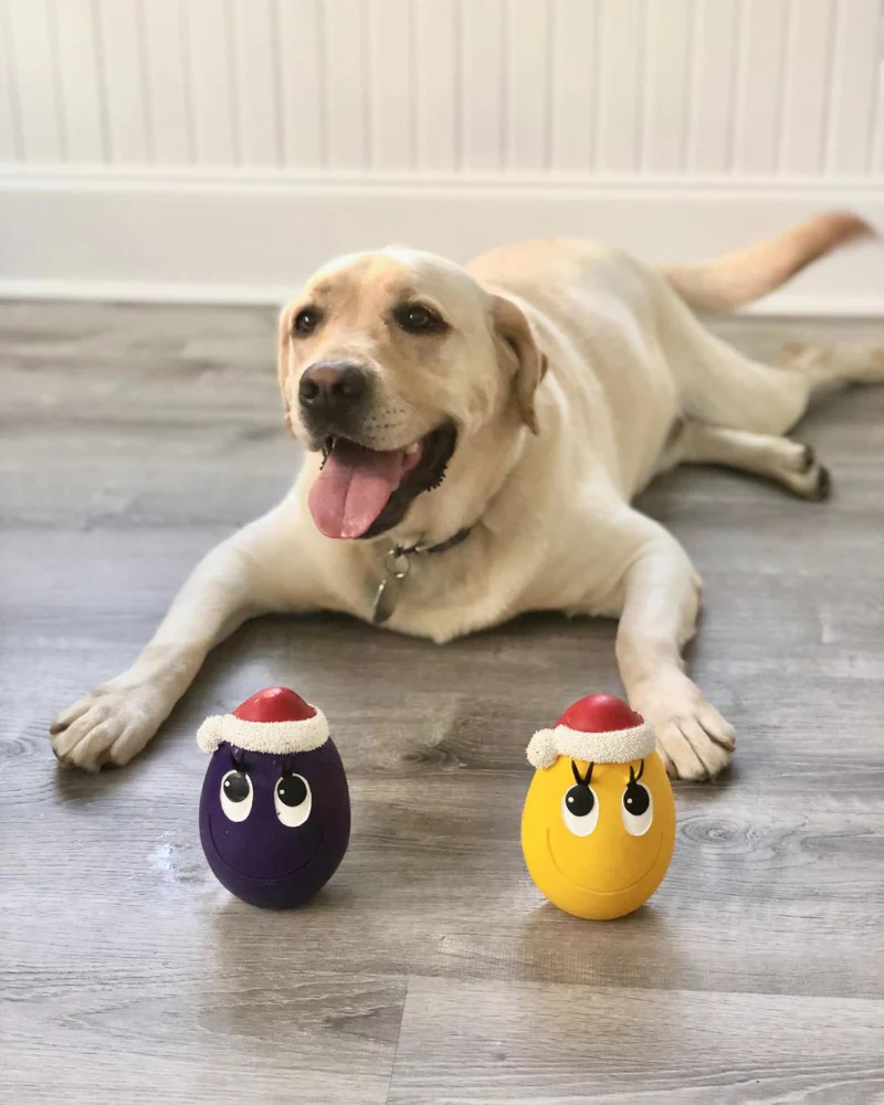 Santa Egg Latex Dog Toy (FINAL SALE) - Image 7