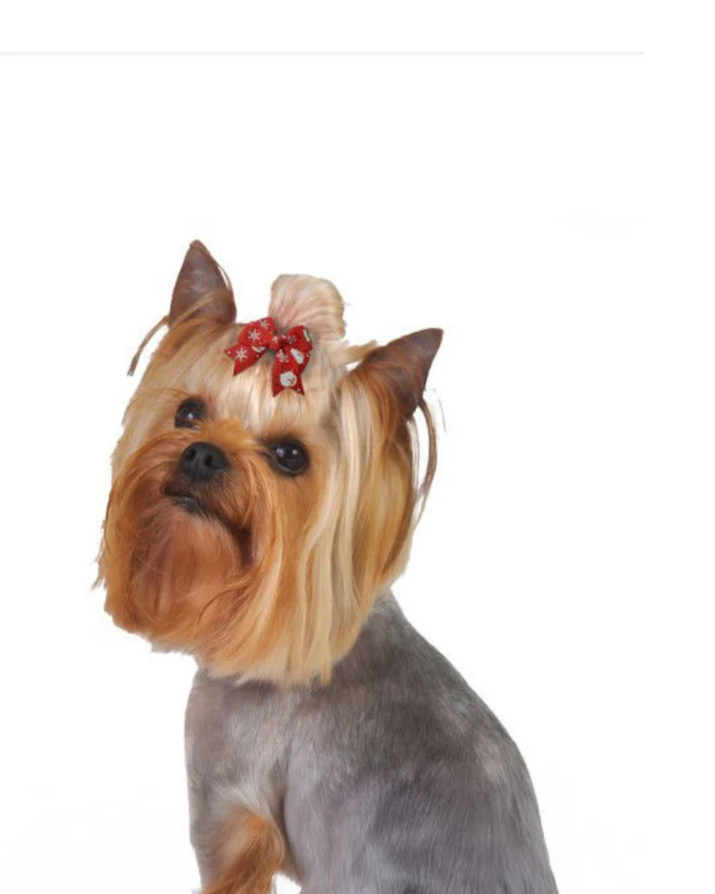 Santa's Snowflake Dog Hair Bow - Image 2