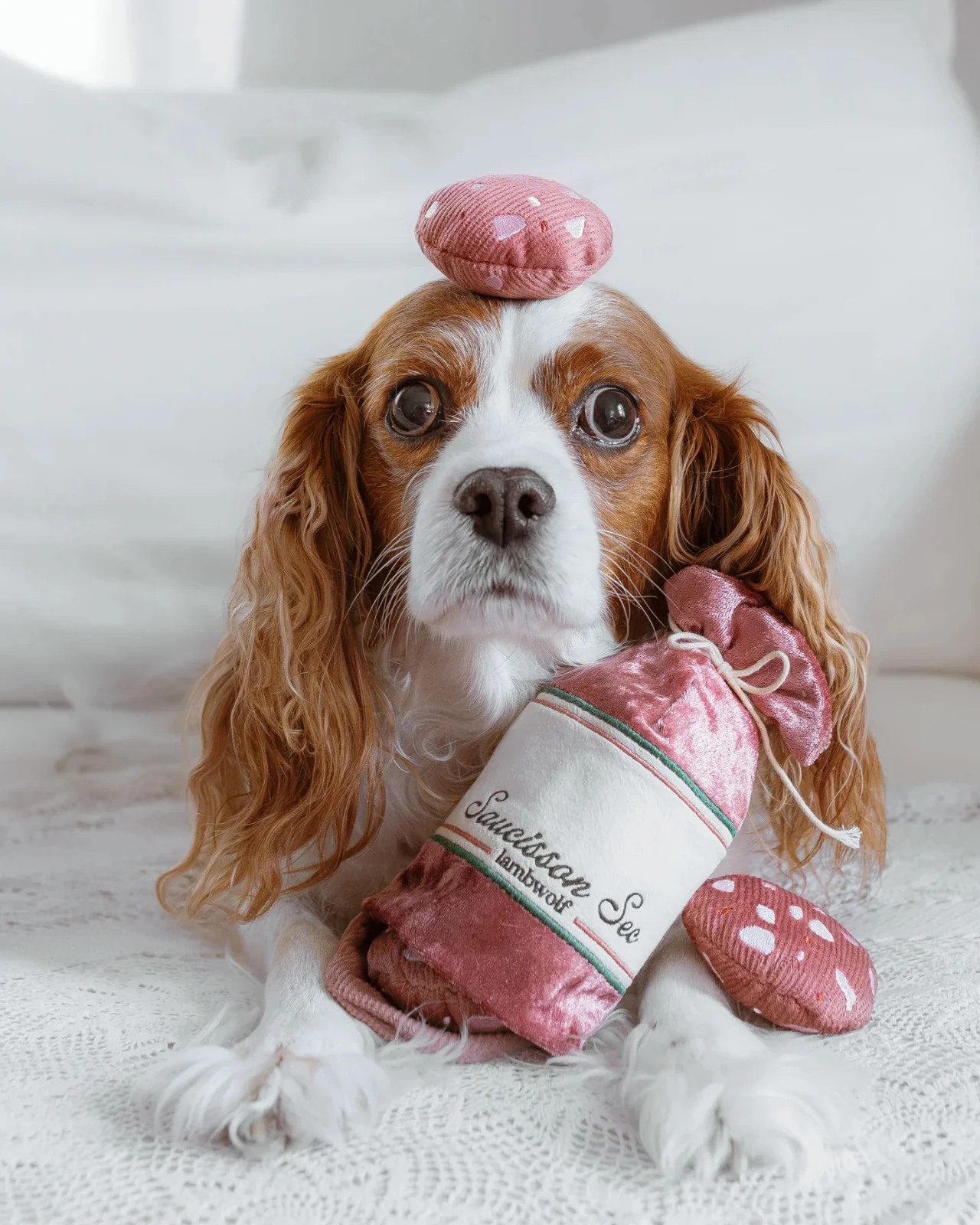 Saucisson Sec Squeaky Enrichment Plush Dog Toy - Image 4