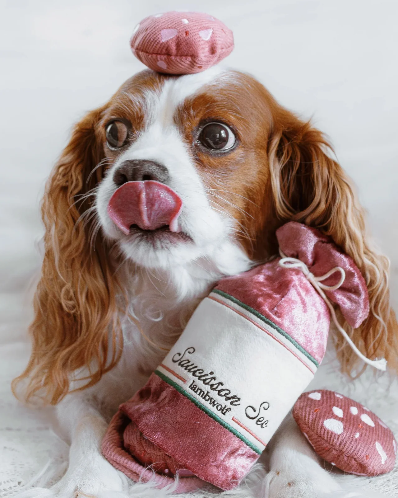 Saucisson Sec Squeaky Enrichment Plush Dog Toy - Image 5