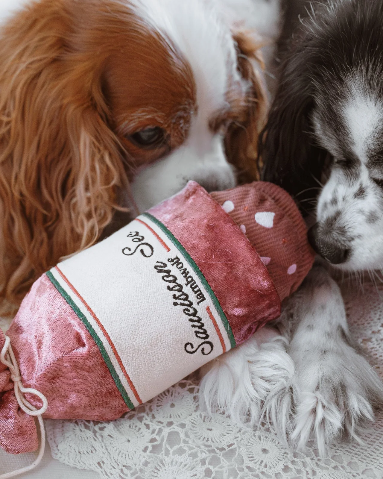Saucisson Sec Squeaky Enrichment Plush Dog Toy - Image 6