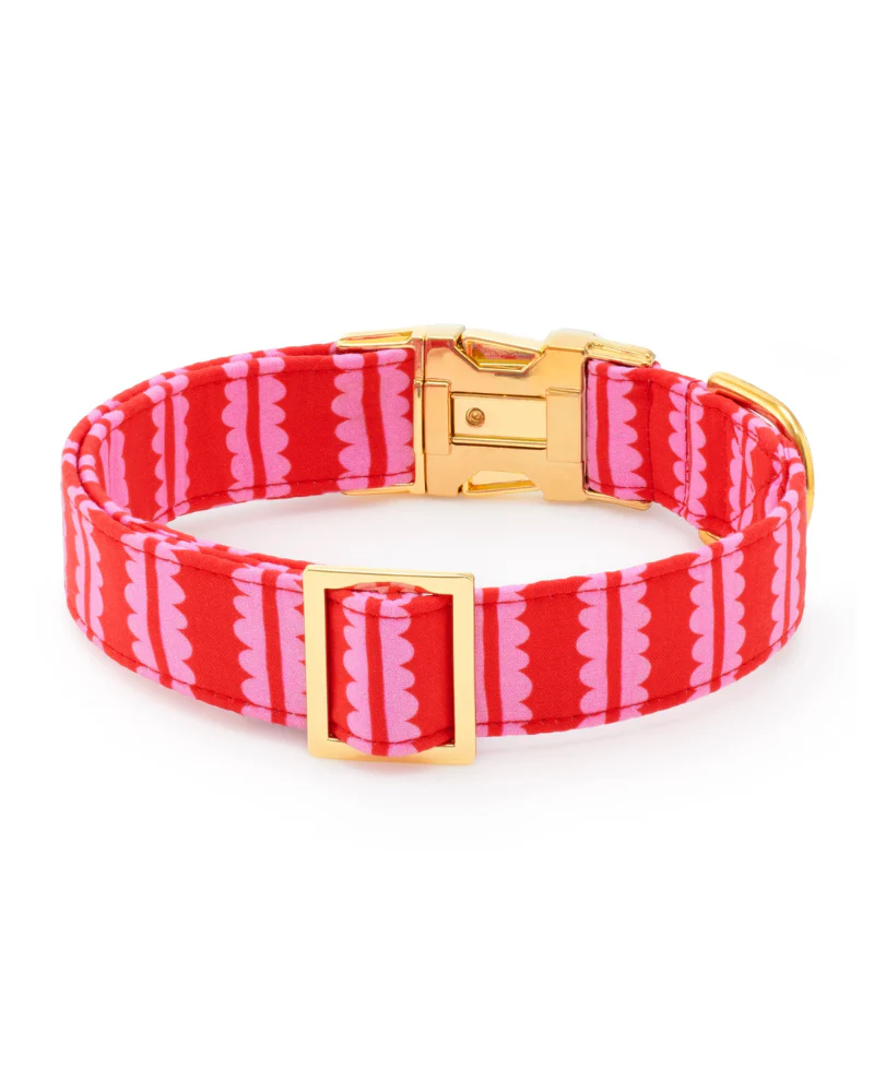 Scallop Stripe Dog Collar - Image 3