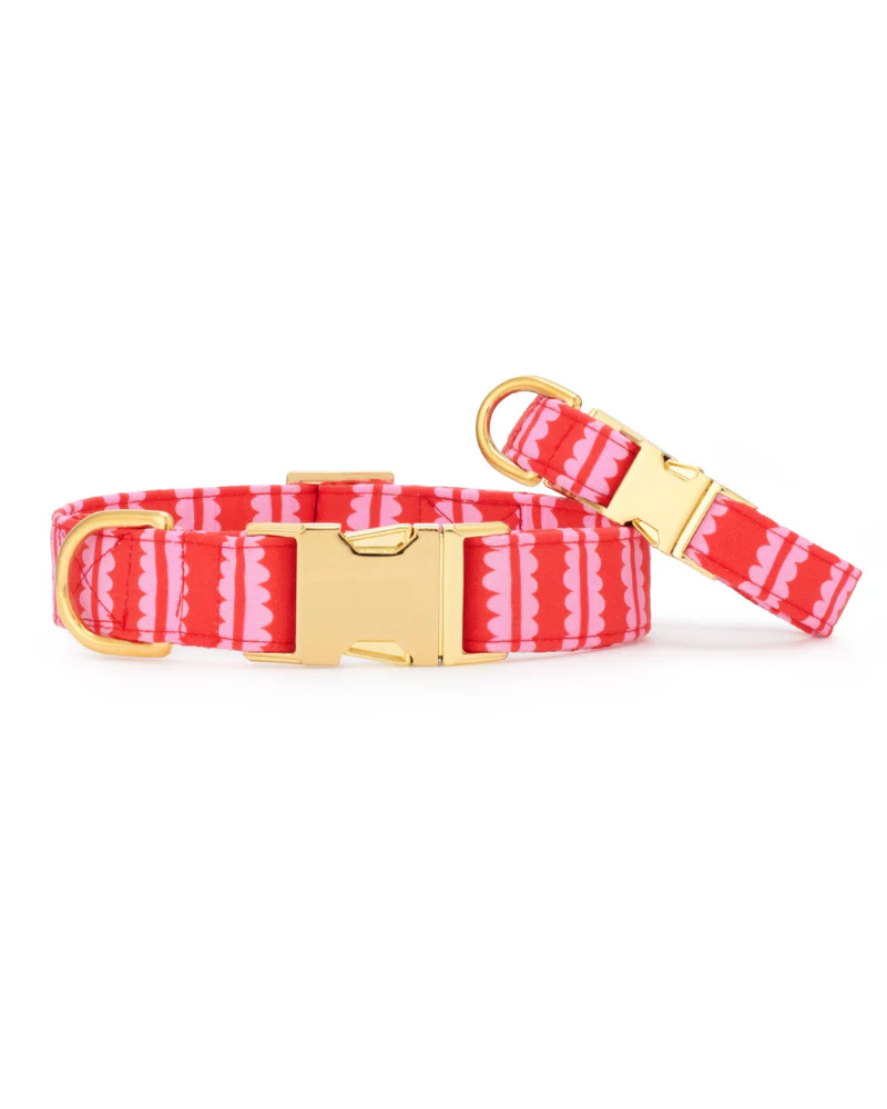 Scallop Stripe Dog Collar - Image 4