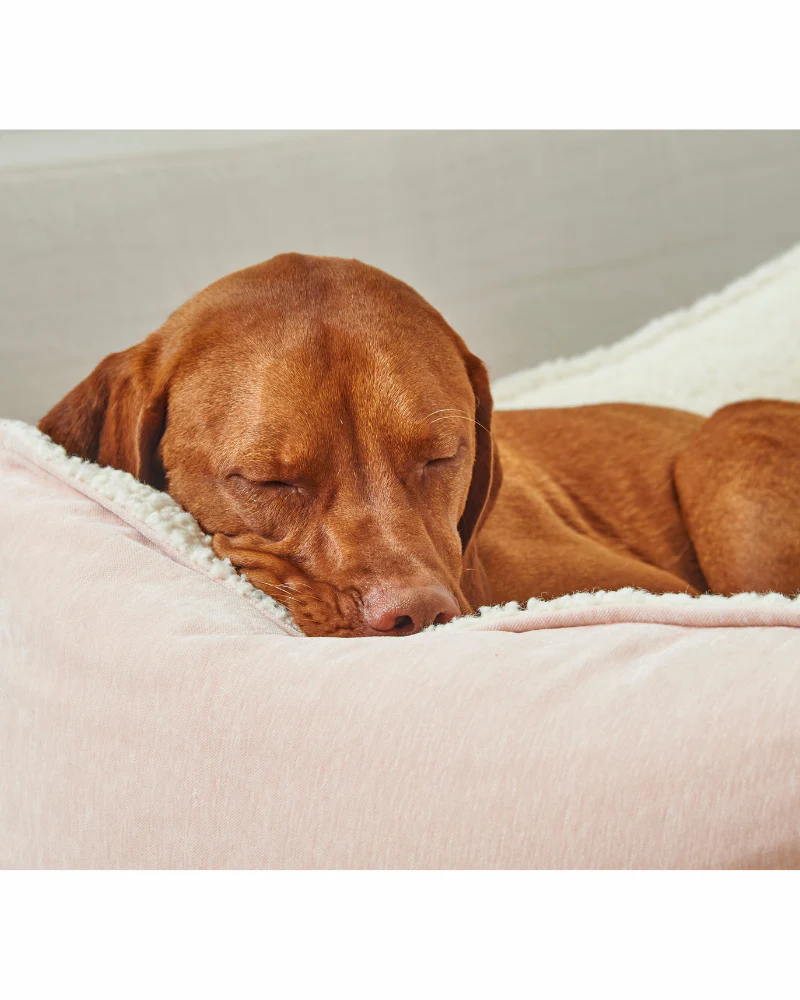 Scoop Bed in Blush & Ivory Sheepskin (Direct-Ship) - Image 4