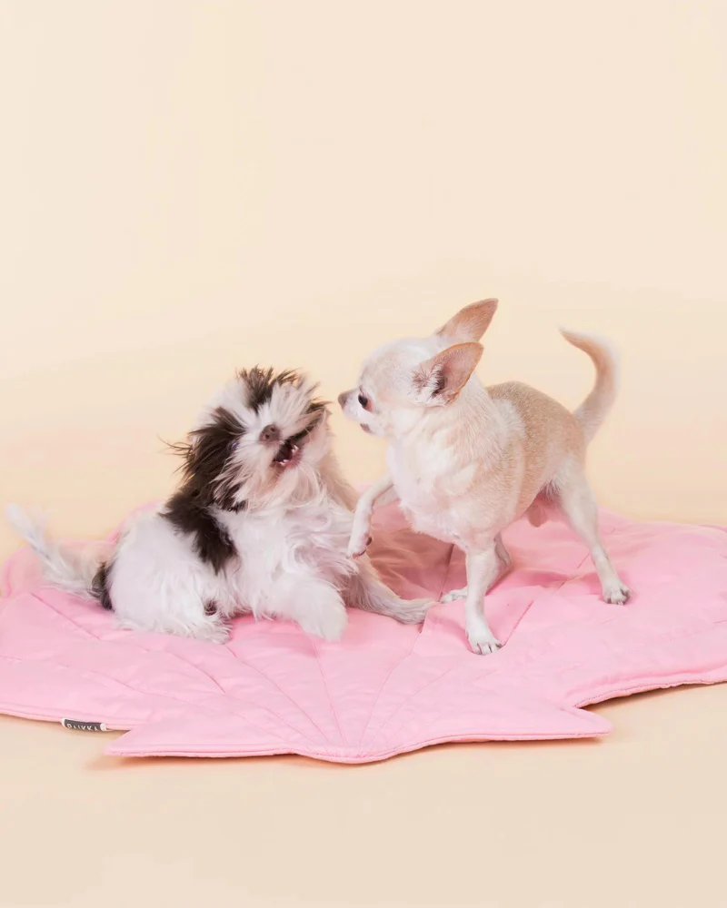 Seashell Dog Enrichment Playmat (30" x 22") - Image 7