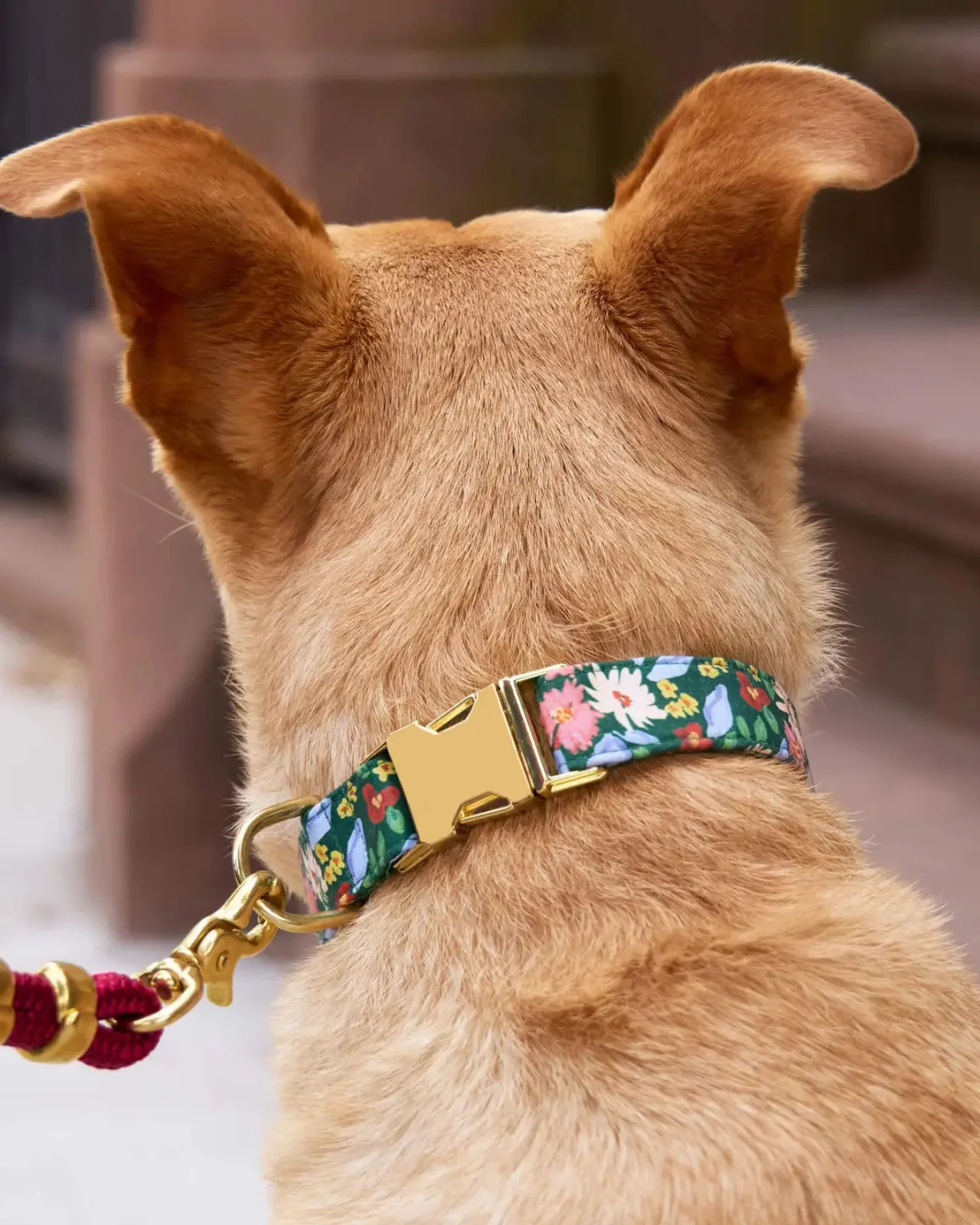 Secret Garden Dog Collar (Made in the USA) (FINAL SALE) - Image 3