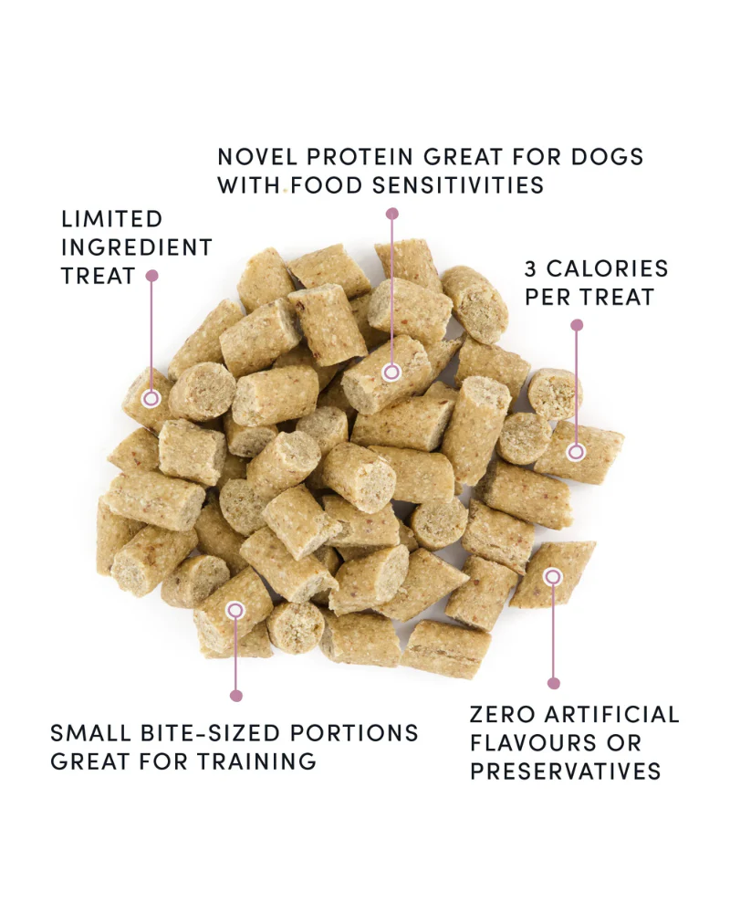 Soft & Chewy Lamb Mini Trainers Dog Treats - Image 3