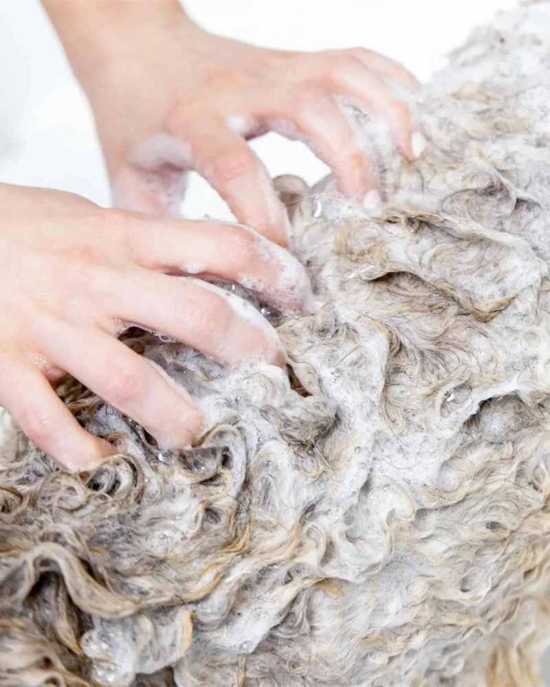 Sensitive Dog Shampoo (Fragrance Free) (FINAL SALE) - Image 3