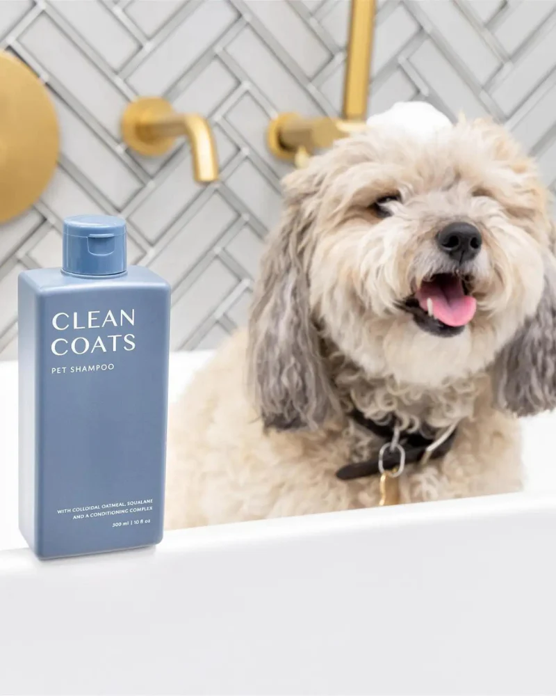 Sensitive Dog Shampoo (Fragrance Free) (FINAL SALE) - Image 4
