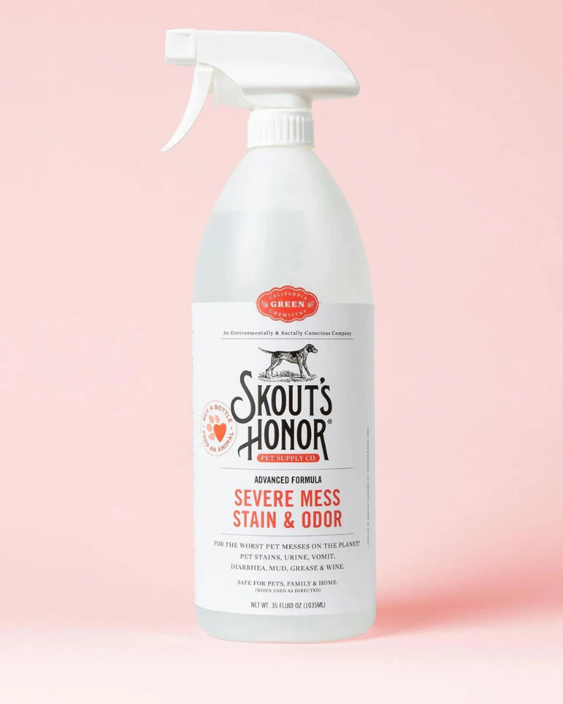 Severe Mess Stain & Odor Solution (Advanced Formula)