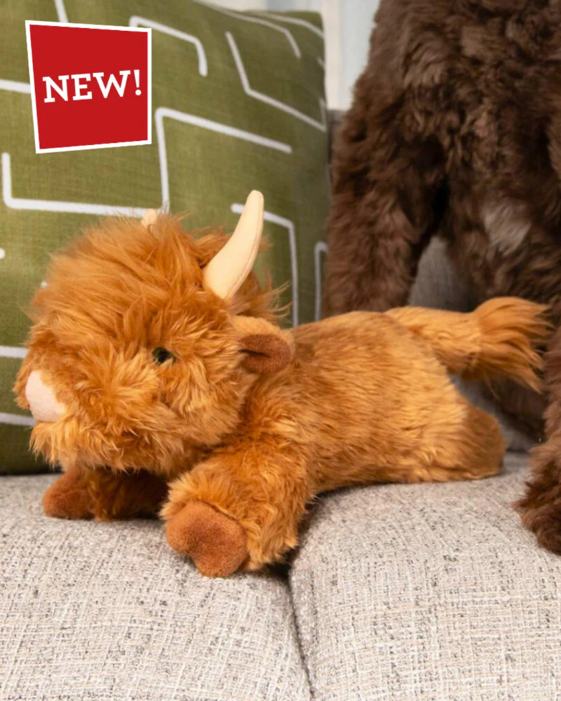 Shaggy the Highland Cow Squeaky Dog Plush Toy - Image 2