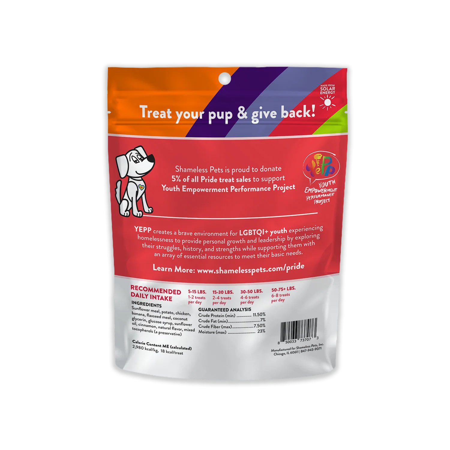 Fur the Love of All Pride Dog Treats - Image 5