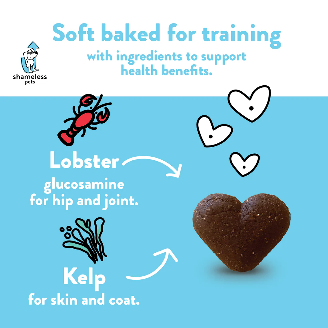 Lobster Roll (Over) Soft Baked Upcycled Dog Treats - Image 2