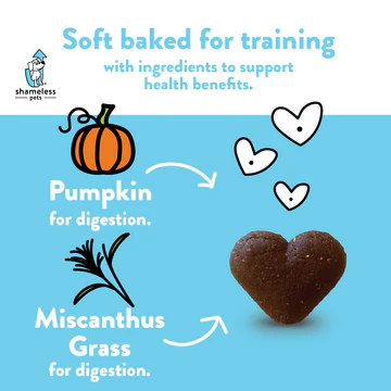 Pumpkin Nut Par-tay Soft Baked Upcycled Dog Treats << FINAL SALE >> - Image 5