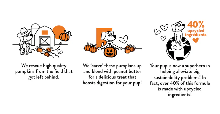 Pumpkin Nut Par-tay Soft Baked Upcycled Dog Treats << FINAL SALE >> - Image 6