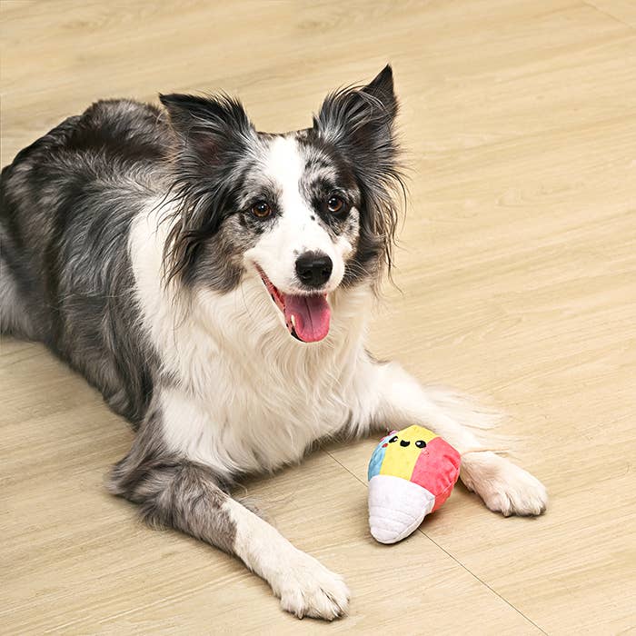 Shaved Ice 2-in-1 Dog Ball Toy - Image 4