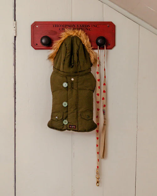 SHED | Heart Leash (DOG & CO. Exclusive) - Image 4