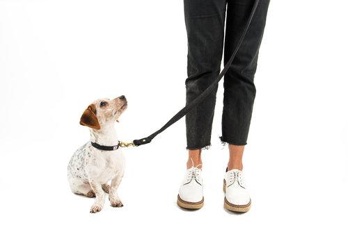 SHED | Mom Jeans Collar in Black Wash - Image 3