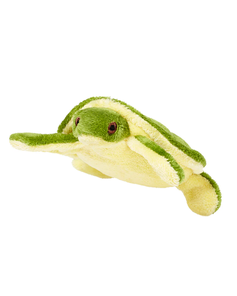 Shelly Turtle Squeaky Dog Plush Toy - Image 4