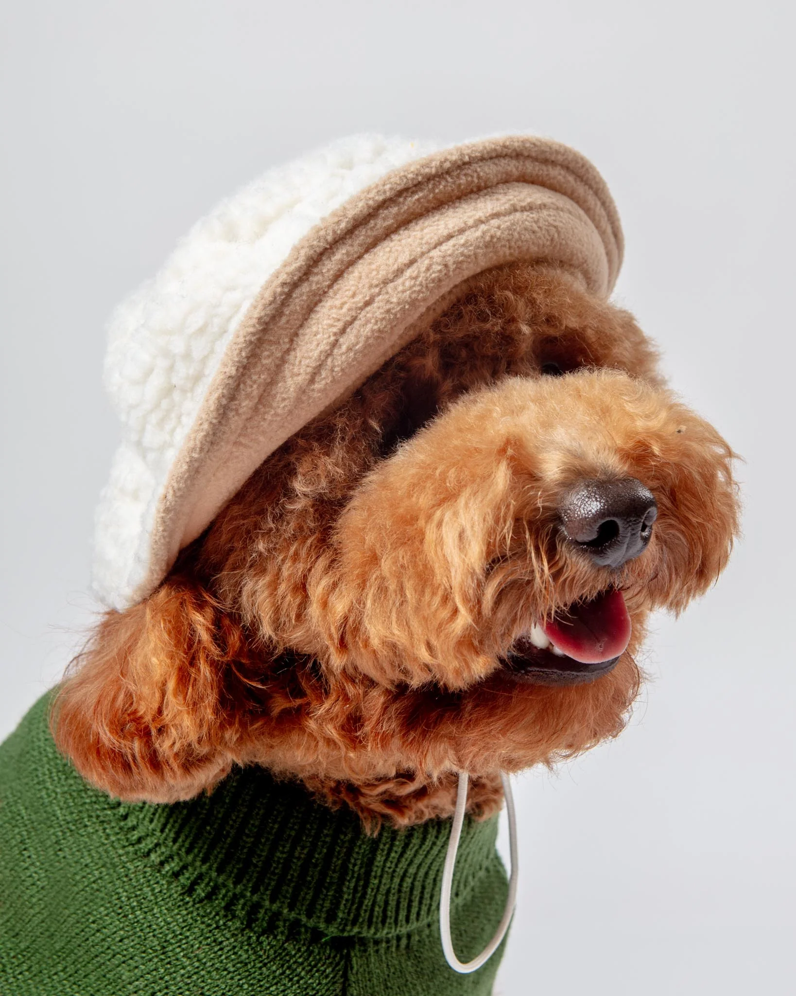 Sherpa Bucket Hat for Dogs (FINAL SALE) - Image 3