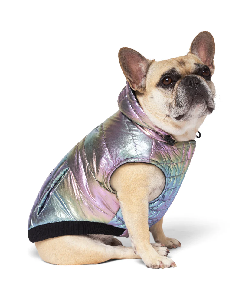 Shiny Puffer Dog Coat in Iridescent << FINAL SALE >>