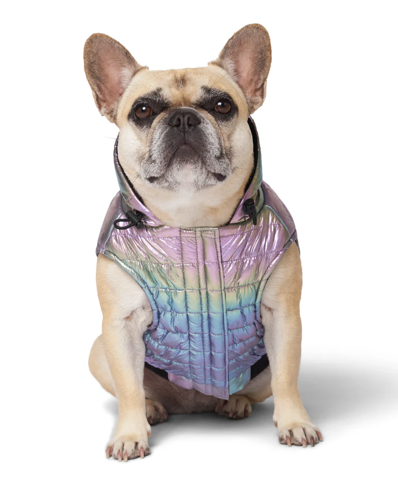 Shiny Puffer Dog Coat in Iridescent << FINAL SALE >> - Image 3